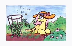 Size: 640x412 | Tagged: safe, artist:adamscage, artist:horsewizardart, derpibooru import, fluttershy, bee, insect, pegasus, pony, collaboration, female, flower, hat, head turn, image, mare, no pupils, png, solo, sun hat