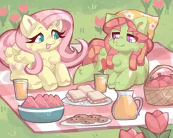 Size: 2500x2000 | Tagged: safe, artist:pillowbunnies, derpibooru import, fluttershy, tree hugger, earth pony, pegasus, pony, basket, cookie, cute, duo, female, flower, fluffy, food, glass, image, juice, looking at each other, looking at someone, lying down, mare, open mouth, open smile, picnic, picnic blanket, pitcher, png, prone, sandwich, shyabetes, smiling, watermelon