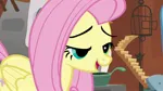 Size: 1280x720 | Tagged: safe, derpibooru import, screencap, fluttershy, pegasus, putting your hoof down, bedroom eyes, cute, female, image, jpeg, open mouth, shyabetes, solo