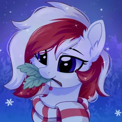 Size: 3500x3500 | Tagged: safe, artist:leah minik, derpibooru import, oc, oc:red wine, unofficial characters only, pony, bust, christmas, clothes, commission, cute, ear fluff, holiday, holly, holly mistaken for mistletoe, image, looking at something, mouth hold, png, portrait, scarf, sky, sky background, smiling, snow, snowfall, solo, striped scarf, two toned mane, ych result