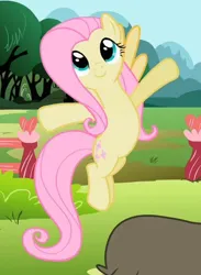 Size: 418x572 | Tagged: safe, derpibooru import, screencap, fluttershy, pegasus, pony, may the best pet win, cropped, female, flying, image, jpeg, mare, smiling, spread hooves