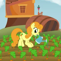 Size: 2000x2000 | Tagged: safe, artist:nitei, derpibooru import, carrot top, golden harvest, earth pony, pony, atg 2022, barrel, carrot, crouching, dirt, farm, female, field, food, happy, high res, house, image, mare, mouth hold, newbie artist training grounds, open mouth, open smile, png, show accurate, smiling, solo, watering, watering can