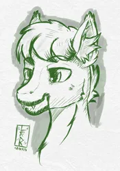 Size: 734x1046 | Tagged: safe, artist:levinerex, derpibooru import, oc, unofficial characters only, bat pony, pony, bust, ear fluff, fangs, image, manga style, monochrome, png, portrait, sketch, solo