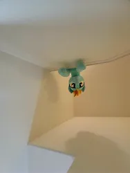 Size: 3000x4000 | Tagged: safe, artist:epicrainbowcrafts, derpibooru import, lightning dust, original species, pegasus, plush pony, pony, ceiling, ceiling pony, female, image, irl, jpeg, mare, photo, plushie, solo