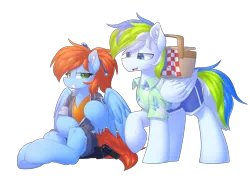 Size: 2160x1641 | Tagged: safe, artist:movieskywalker, derpibooru import, oc, oc:morning star, oc:rain bow, unofficial characters only, pegasus, pony, derpibooru community collaboration, 2023 community collab, basket, blue skin, clothes, derpibooru exclusive, duo, enclave, female, green eyes, image, looking at each other, looking at someone, male, multicolored hair, orange hair, pegasus oc, picnic basket, png, simple background, sitting, smiling, smiling at each other, spread wings, swimsuit, transparent background, wings