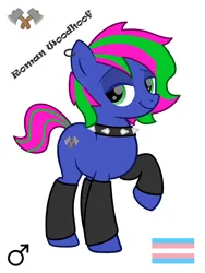 Size: 3000x4000 | Tagged: safe, artist:emperor-anri, artist:jamextreme140, derpibooru import, oc, oc:roman woodhoof, pony, base used, choker, clothes, collar, ear piercing, earring, hatchet, image, jewelry, lgbt, looking at you, male, male symbol, piercing, png, pride, pride flag, raised hoof, socks, solo, spiked collar, trans male, transgender, transgender pride flag