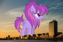 Size: 1016x677 | Tagged: safe, artist:starryshineviolet, derpibooru import, glitter spritz, earth pony, pony, amsterdam, background pony, female, giant pony, giant/macro earth pony, giantess, highrise ponies, image, irl, jpeg, macro, mare, mega giant, netherlands, photo, ponies in real life, smiling, solo