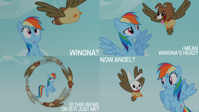 Size: 2000x1125 | Tagged: safe, derpibooru import, edit, edited screencap, editor:quoterific, screencap, angel bunny, owlowiscious, rainbow dash, winona, bird, dog, owl, pegasus, pony, rabbit, may the best pet win, animal, cloud, image, png, sky