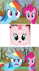 Size: 677x1219 | Tagged: safe, derpibooru import, edit, edited screencap, screencap, pinkie pie, rainbow dash, oc, oc:fluffle puff, unofficial characters only, earth pony, pegasus, pony, tanks for the memories, fake horn, image, jpeg, looking at you, rainbow dash is not amused, unamused
