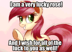 Size: 960x689 | Tagged: safe, artist:ncmares, edit, editor:undeadponysoldier, ponerpics import, ponybooru import, roseluck, earth pony, pony, compliment, cute, female, gif, grin, happy, image, looking at you, mare, meme, name pun, quote, rosabetes, smiling, talking to viewer, text, waving