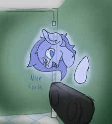 Size: 613x679 | Tagged: suggestive, artist:reddthebat, derpibooru import, oc, oc:alaska (reddthebat), unofficial characters only, ghost, ghost pony, pegasus, pony, undead, bathroom, bathroom stall, dialogue, female, image, implied penis, mare, png, solo, talking to viewer, voyeurism