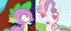 Size: 1284x563 | Tagged: safe, derpibooru import, spike, sweetie belle, friendship is magic, lesson zero, female, g4, heart, heart eyes, image, in love, male, png, shipping, spikebelle, straight, wingding eyes