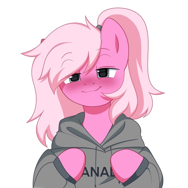 Size: 2048x2048 | Tagged: safe, artist:cottonaime, derpibooru import, oc, earth pony, pony, blushing, canada, clothes, hoodie, image, jpeg, looking at you, ponytail, smiling, solo