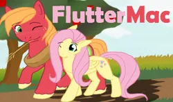 Size: 782x460 | Tagged: safe, artist:miyukiarts, derpibooru import, big macintosh, fluttershy, earth pony, pegasus, pony, blushing, cloud, cute, duo, eye clipping through hair, female, fluttermac, freckles, grass, image, looking at each other, looking at someone, macabetes, male, mare, one eye closed, png, raised hoof, road, shipping, shyabetes, sky, smiling, smiling at each other, stallion, straight, straw in mouth, text, tree, walking