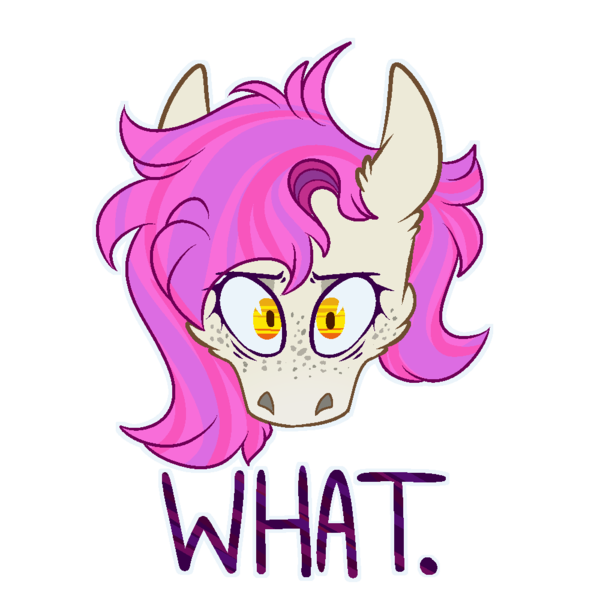 Size: 1000x1000 | Tagged: safe, artist:molars, derpibooru import, oc, oc:molars, digital art, emote, head only, image, looking at you, png, ponysona, reaction image, simple background, solo, text, transparent background, wat