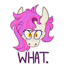 Size: 1000x1000 | Tagged: safe, artist:molars, derpibooru import, oc, oc:molars, digital art, emote, head only, image, looking at you, png, ponysona, reaction image, simple background, solo, text, transparent background, wat