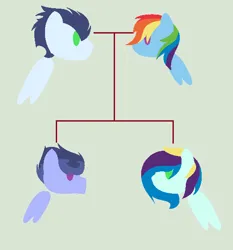 Size: 543x582 | Tagged: safe, artist:xxsnowbellxx, derpibooru import, rainbow dash, soarin', oc, oc:prism bolt, oc:rainbow dawn, pegasus, pony, family tree, female, image, jpeg, male, mare, offspring, parent:rainbow dash, parent:soarin', parents:soarindash, shipping, soarindash, stallion, straight