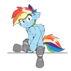 Size: 1200x1200 | Tagged: safe, artist:deafjaeger, derpibooru import, rainbow dash, pegasus, pony, chest fluff, clothes, ear fluff, floppy ears, image, looking at you, png, simple background, sitting, socks, solo, surprised, white background, wings