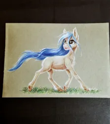 Size: 3024x3384 | Tagged: safe, artist:cahandariella, derpibooru import, earth pony, colored pencil drawing, cute, flowing mane, flowing tail, grass, gray background, image, jpeg, looking at something, photo, raffle prize, simple background, smiling, solo, tail, traditional art, trotting