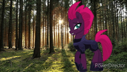 Size: 854x480 | Tagged: safe, starlight glimmer, tempest shadow, duo, duo female, eaten alive, endosoma, female, female pred, female prey, forest, glimmer prey, image, inside stomach, internal, mp4, non-fatal vore, stomach noise, tempred, tree, vore