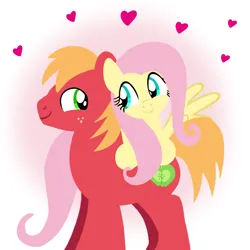 Size: 1400x1400 | Tagged: safe, artist:mlplary6, derpibooru import, big macintosh, fluttershy, earth pony, pegasus, pony, boyfriend and girlfriend, female, fluttermac, heart, image, looking at each other, looking at someone, love, male, mare, png, shipping, smiling, smiling at each other, stallion, straight