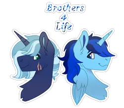 Size: 2918x2553 | Tagged: artist needed, source needed, safe, derpibooru import, oc, oc:blue thunder, alicorn, brothers, image, male, png, siblings