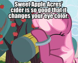 Size: 501x405 | Tagged: safe, edit, edited screencap, editor:undeadponysoldier, ponerpics import, ponybooru import, screencap, cheerilee, earth pony, pony, the super speedy cider squeezy 6000, animated, animation error, apple cider, cheeribetes, cute, drink, drinking, edited gif, female, gif, happy, image, mare, meme, solo, sweet apple acres