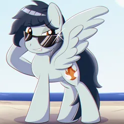 Size: 1990x1998 | Tagged: safe, artist:trackheadtherobopony, derpibooru import, oc, oc:alpha sabre, pegasus, beach, image, png, solo, sunglasses