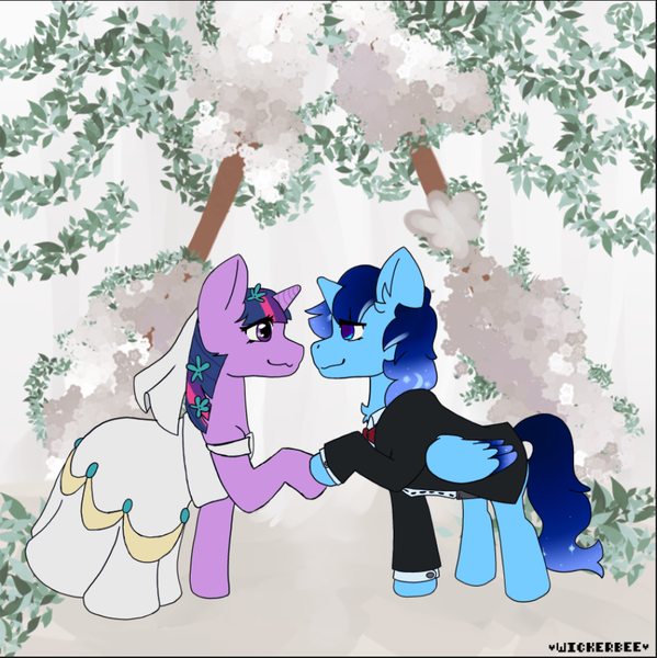 Size: 900x901 | Tagged: artist needed, source needed, safe, derpibooru import, twilight sparkle, twilight sparkle (alicorn), oc, oc:blue thunder, alicorn, image, love, marriage, png, thundersparkle, wedding