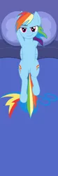 Size: 1968x5906 | Tagged: safe, artist:asiagosandwich, derpibooru import, rainbow dash, pegasus, pony, body pillow, body pillow design, both cutie marks, featureless crotch, female, image, looking at you, lying down, on back, png, show accurate, smiling, smirk, solo