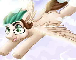 Size: 1280x1024 | Tagged: safe, artist:funky_furs, derpibooru import, oc, unofficial characters only, pegasus, pony, 2018, cloud, flying, gift art, glasses, image, male, open mouth, open smile, pegasus oc, png, scar, signature, smiling, solo, spread wings, stallion, tail, underhoof, wings
