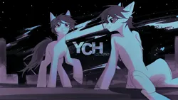 Size: 3254x1839 | Tagged: safe, artist:teturirusu, derpibooru import, oc, pony, any gender, any race, any species, background, commission, duo, image, jpeg, looking at each other, looking at someone, night, night sky, sky, stars, your character here
