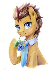 Size: 889x1200 | Tagged: safe, artist:maytee, derpibooru import, doctor whooves, time turner, earth pony, pony, berry, colored pencil drawing, food, herbivore, image, mouth hold, necktie, png, solo, traditional art