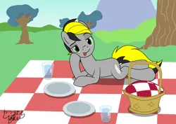 Size: 4096x2896 | Tagged: safe, artist:gabriel18017, derpibooru import, oc, oc:lightpeace, unofficial characters only, earth pony, pony, background, basket, commission, glass of water, image, looking at you, lying down, picnic, picnic basket, picnic blanket, png, smiling