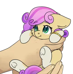 Size: 596x603 | Tagged: safe, artist:rokosmith26, derpibooru import, oc, oc:quickdraw, earth pony, pony, coat markings, commissioner:dhs, curly hair, cute, fluffy, freckles, hand, holding a pony, hoof ring, image, in goliath's palm, looking up, png, purple hair, simple background, size difference, small pony, smiling, socks (coat marking), transparent background, yellow coat