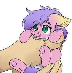 Size: 596x603 | Tagged: safe, artist:rokosmith26, derpibooru import, oc, oc:phalena rosa, changeling, pony, commissioner:dhs, curly hair, cute, fluffy, hand, holding a pony, image, in goliath's palm, looking up, pink coat, png, purple hair, simple background, size difference, small pony, smiling, transparent background