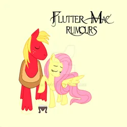 Size: 750x750 | Tagged: safe, artist:ntoonz, derpibooru import, big macintosh, fluttershy, earth pony, pegasus, pony, album cover, eyes closed, female, fleetwood mac, fluttermac, image, looking away, looking to side, male, mare, parody, png, rumours, shipping, stallion, stool, straight