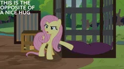 Size: 828x465 | Tagged: safe, derpibooru import, edit, edited screencap, editor:quoterific, screencap, fluttershy, fluttershy leans in, image, jpeg, solo
