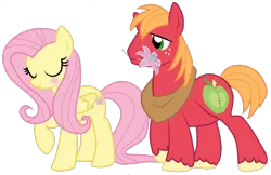 Size: 1364x886 | Tagged: safe, artist:rulette, derpibooru import, big macintosh, fluttershy, earth pony, pegasus, pony, female, fluttermac, image, male, mare, png, shipping, simple background, stallion, straight, transparent background