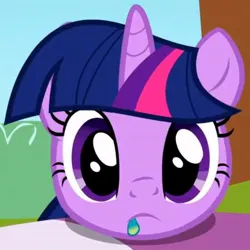 Size: 538x539 | Tagged: safe, derpibooru import, screencap, twilight sparkle, pony, unicorn, season 1, the ticket master, cropped, cute, eating, eating flower, female, flower, herbivore, image, jpeg, looking at you, mare, ponyville, solo, staring at you, twiabetes, twiman, unicorn twilight
