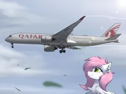 Size: 1844x1376 | Tagged: safe, artist:coarfdraw, derpibooru import, oc, oc:sugar morning, unofficial characters only, pegasus, pony, a350, airbus, airbus a350, chest fluff, cloud, ear fluff, flying, green eyes, happy, image, jet engine, looking up, plane, png, qatar, qatar airways, smiling