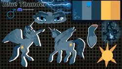 Size: 1280x720 | Tagged: artist needed, source needed, safe, derpibooru import, oc, oc:blue thunder, alicorn, image, png, reference sheet, solo