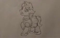 Size: 3264x2040 | Tagged: safe, artist:peternators, derpibooru import, oc, oc:heroic armour, unofficial characters only, pony, unicorn, blushing, clothes, colt, crossdressing, dress, floppy ears, foal, image, jpeg, male, mary janes, monochrome, shoes, sketch, socks, thigh highs, traditional art