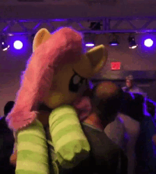 Size: 618x690 | Tagged: safe, fluttershy, human, pony, 4chan, clothes, dance floor, female, image, lidded eyes, life size, mare, mare fair, mare fair 2023, plushie, snowpity inc., socks, webm