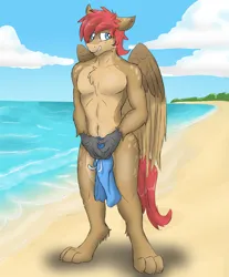 Size: 4123x4986 | Tagged: suggestive, artist:pzkratzer, derpibooru import, oc, oc:ponygriff, anthro, hippogriff, hybrid, accidental exposure, anthro oc, beach, belly button, chest fluff, clothes, covering, covering crotch, embarrassed, embarrassed nude exposure, exhibitionism, hippogriff oc, image, male, nudity, partial nudity, paws, png, solo, solo male, swimming trunks, swimsuit, swimsuit theft