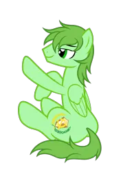 Size: 2180x3039 | Tagged: safe, artist:equestria secret guard, artist:radiantrealm, derpibooru import, oc, oc:pilek, unofficial characters only, pegasus, pony, butt, image, male, plot, png, simple background, sitting, solo, stallion, touching, transparent background, wings
