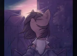 Size: 4072x3000 | Tagged: safe, artist:anotherdeadrat, derpibooru import, oc, unofficial characters only, pony, clothes, crepuscular rays, eyes closed, high res, image, outdoors, png, shirt, solo, sunset