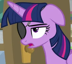 Size: 1054x945 | Tagged: safe, derpibooru import, screencap, twilight sparkle, twilight sparkle (alicorn), alicorn, pony, friendship university, season 8, spoiler:s08, cropped, disguise, eyepatch, eyepatch (disguise), female, floppy ears, frown, image, mare, png, solid sparkle, solo