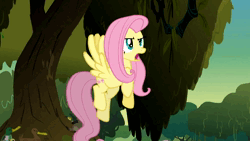 Size: 1920x1080 | Tagged: safe, artist:pinkie pie, fluttershy, pegasus, pony, season 2, 2013, angry, animated, female, flying, happy, image, mp4