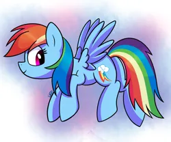 Size: 1200x1000 | Tagged: safe, artist:vale-bandicoot96, derpibooru import, rainbow dash, pegasus, pony, butt, female, flying, g4, image, mare, plot, png, profile, signature, solo, spread wings, wings